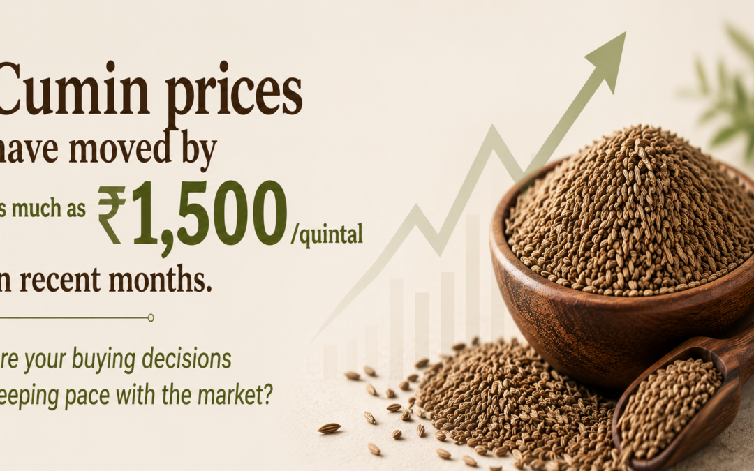 Cumin prices have moved by as much as ₹1,500/quintal in recent months. Are your buying decisions keeping pace with the market?